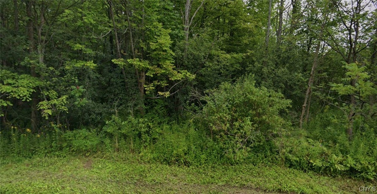 Lower Lawrence Street