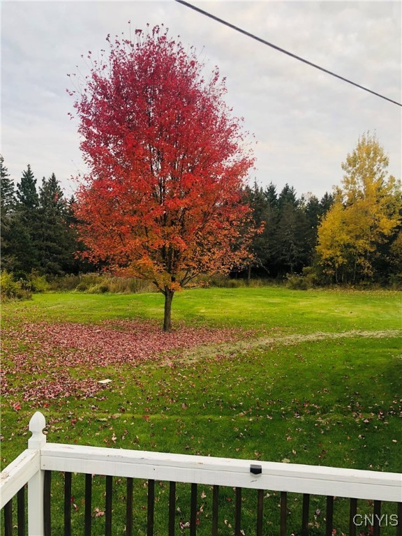 34340 Clayton Center Road, Clayton, New York image 46