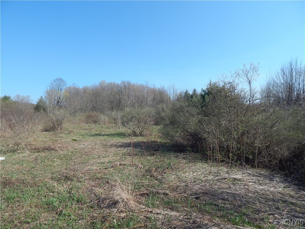 3918 Alene Corners Road