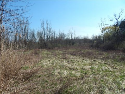 3918 Alene Corners Road Canastota NY 13032