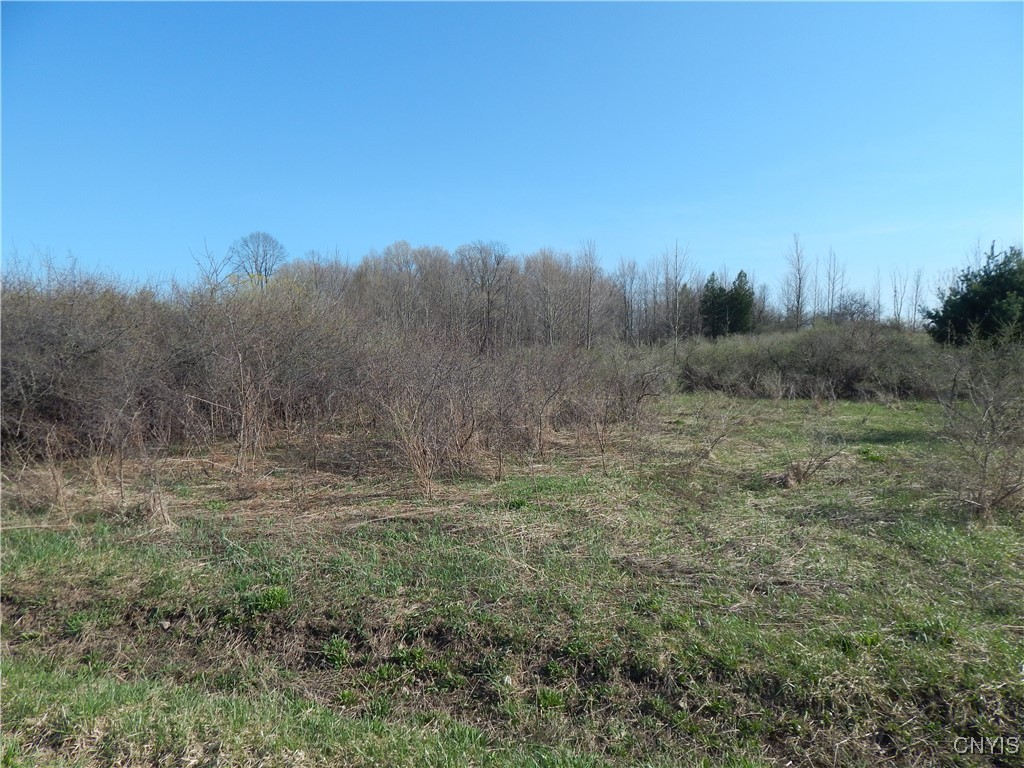 3918 Alene Corners Road