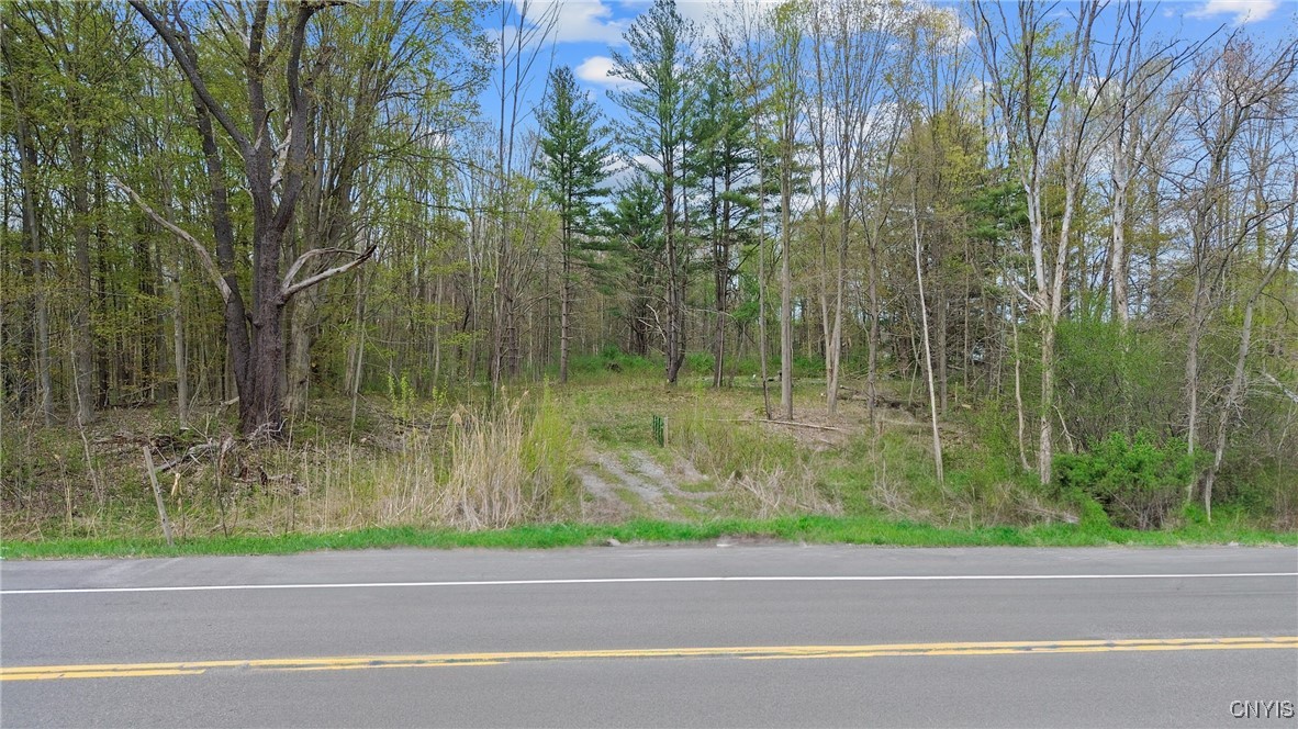 4697 State Route 31, Clay, New York image 13