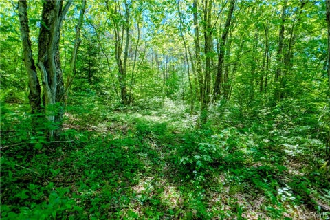 Tiny photo for 404 Old State Road, Redfield, NY 13437 (MLS # S1714698)