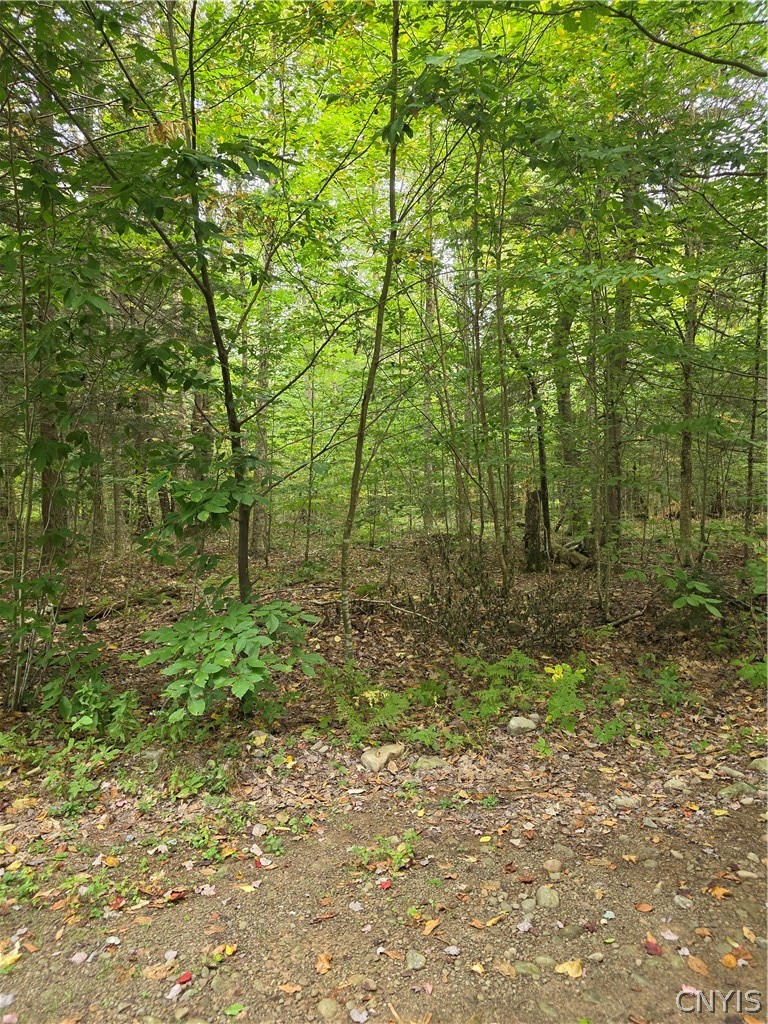 Woodland Drive