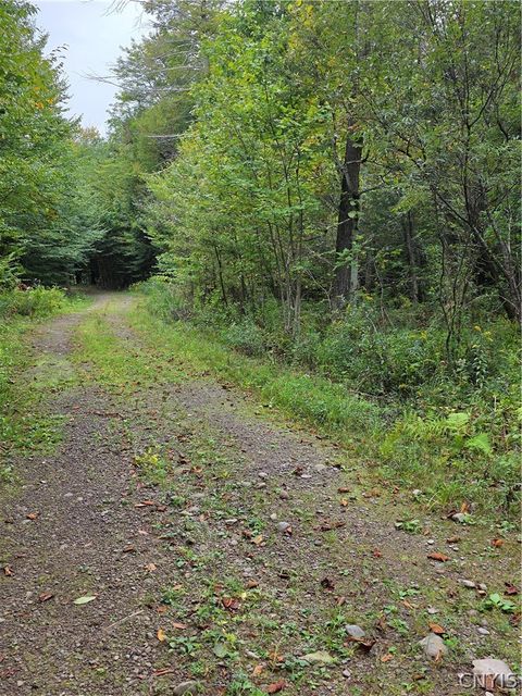 Vacant Land For Sale - Woodland Drive<br/> Oswego County, Albion, NY 13302