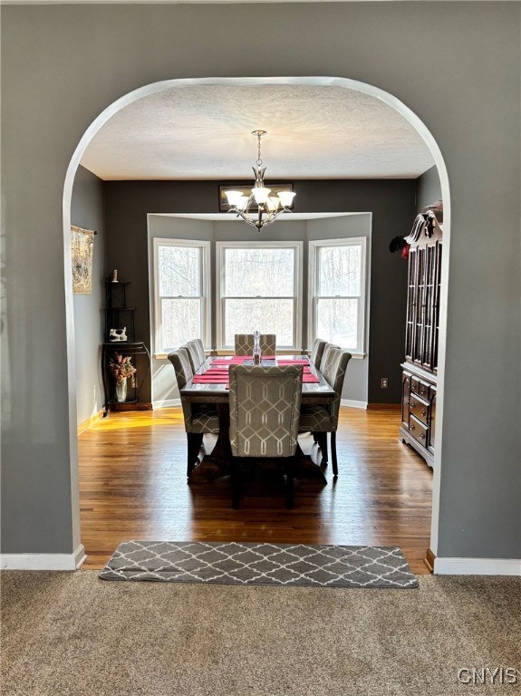 6045 Lisi Gardens Drive, Cicero, New York image 12