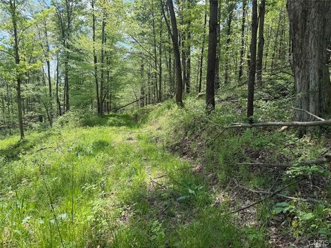 Vacant Land For Sale - Dye Road<br/> Dayton, NY 14138