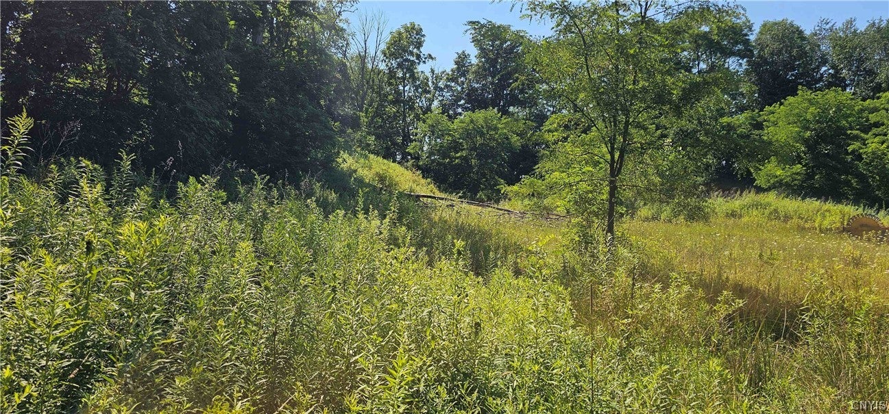 Hilton Road