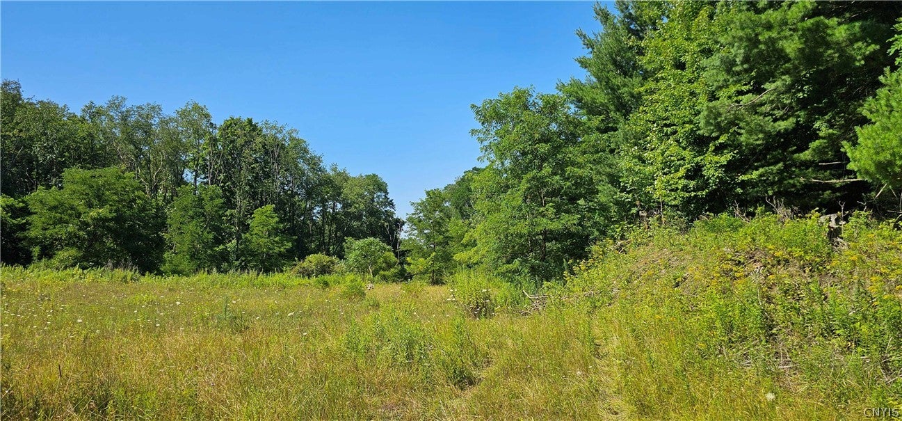 Hilton Road
