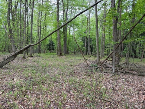 Vacant Land For Sale - Kellogg Hill Road<br/> Cattaraugus County, Leon, NY 14138
