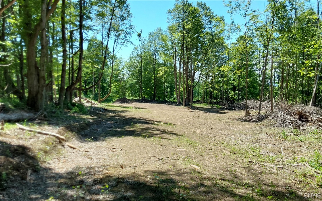 1273 Newport Gray Road Road