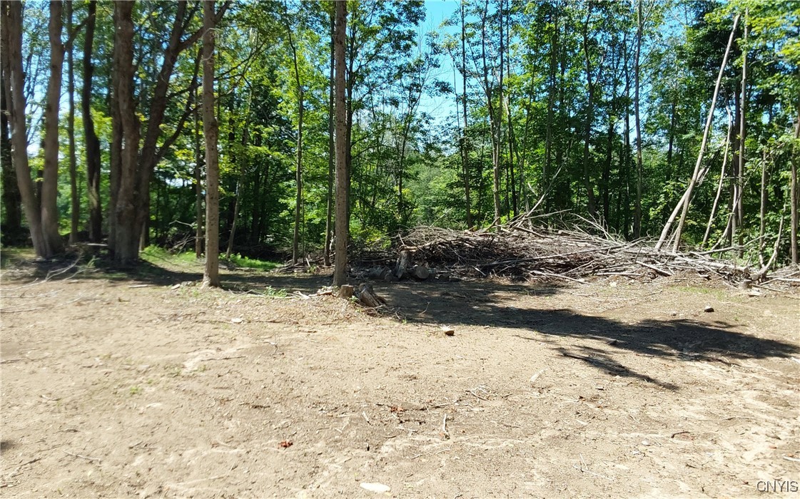 1273 Newport Gray Road Road