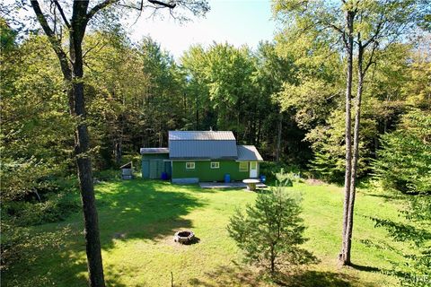164 Husted Road Lincklaen NY 13052