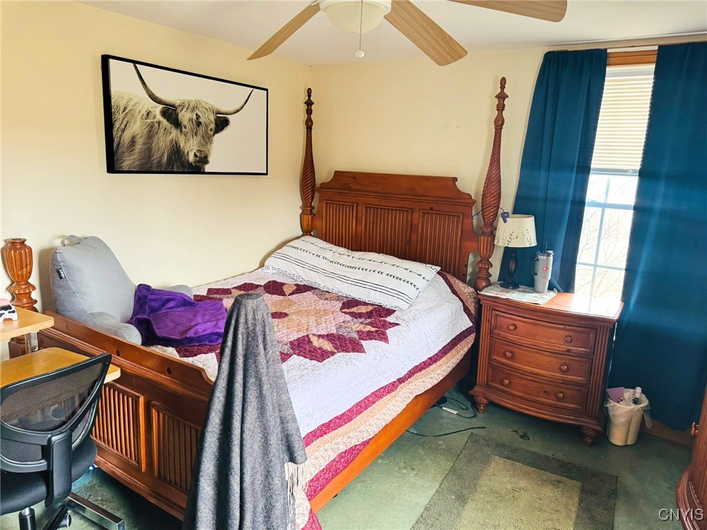 210 Mount Pleasant Road, Dryden, New York image 20