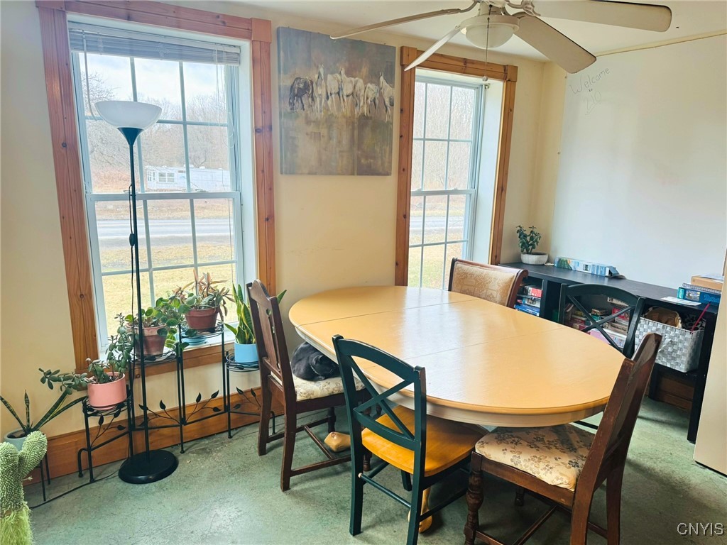 210 Mount Pleasant Road, Dryden, New York image 13