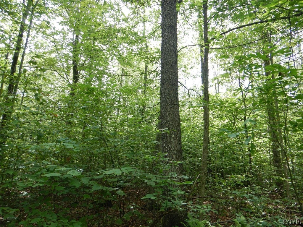Bull Hill Road