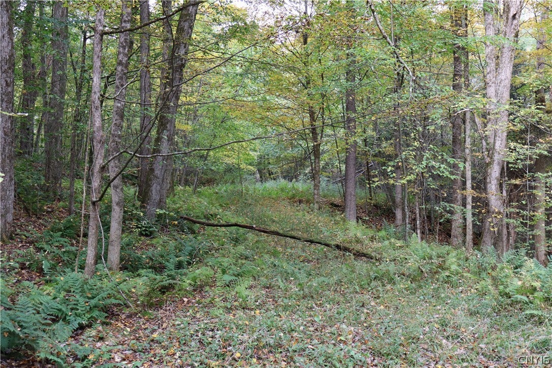 Lawrence Road