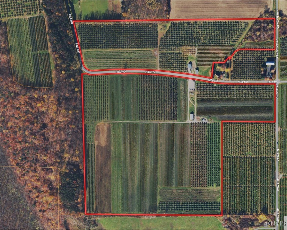 6258 Hill Road, Sodus, New York image 11