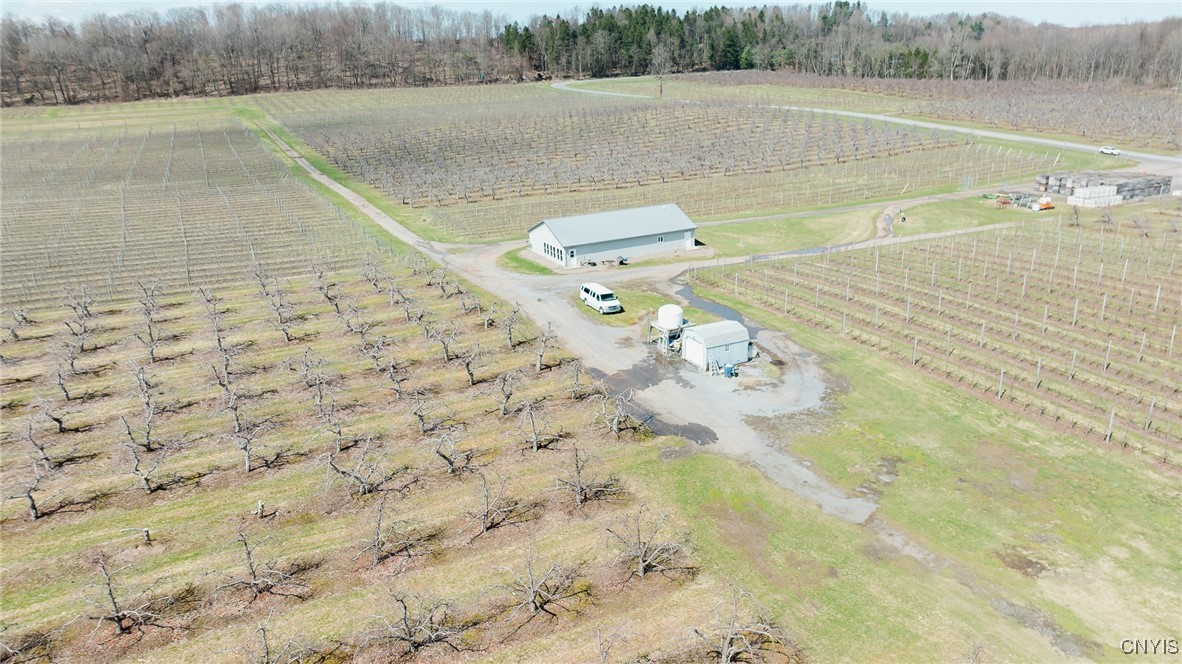 6258 Hill Road, Sodus, New York image 5