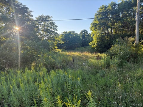 Vacant Land For Sale - 6289 Cavanaugh Road<br/> Marcy, NY 13403