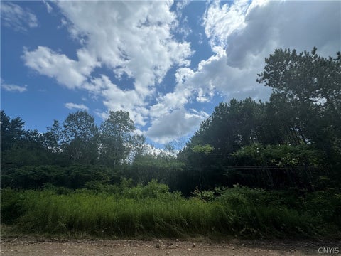 Vacant Land For Sale - Arnoldville Road<br/> Diana, NY 13665