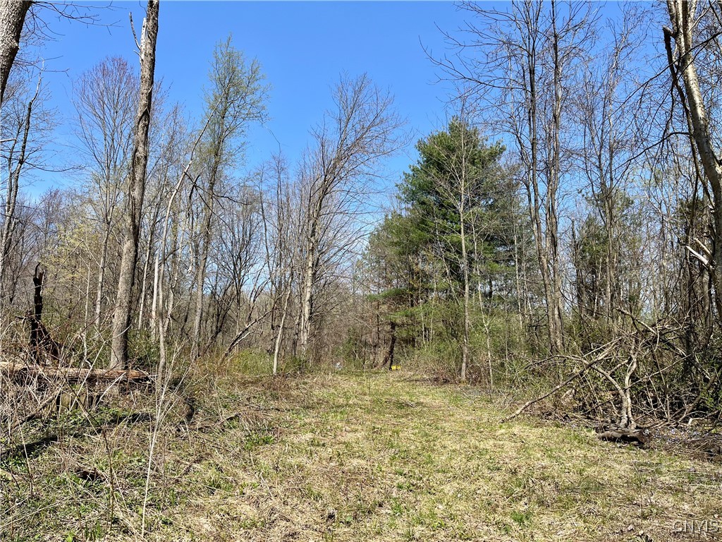 2011 Eno Road, Sterling, New York image 42