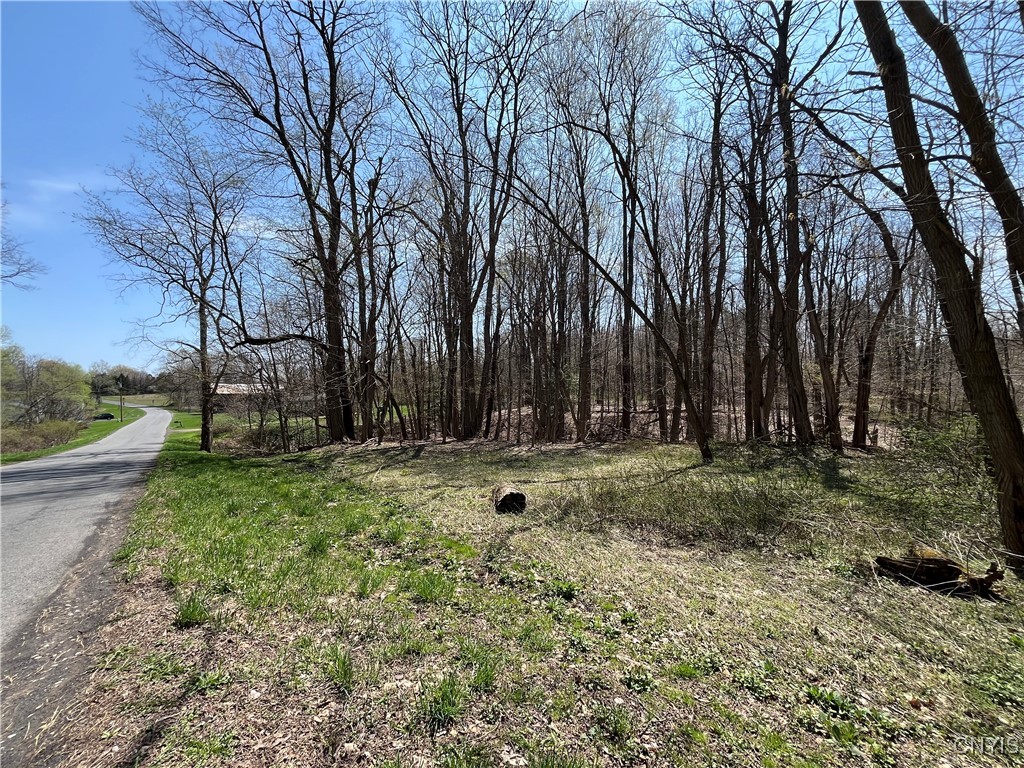 2011 Eno Road, Sterling, New York image 43
