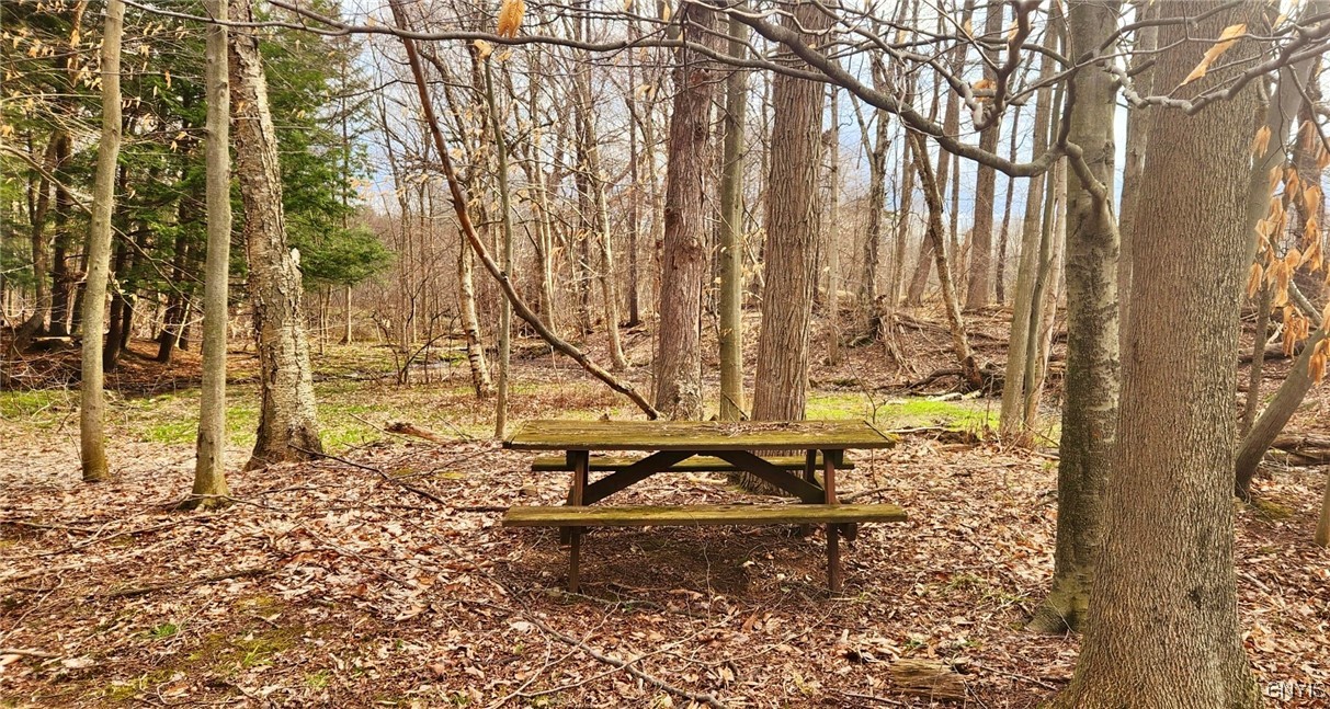 2011 Eno Road, Sterling, New York image 34