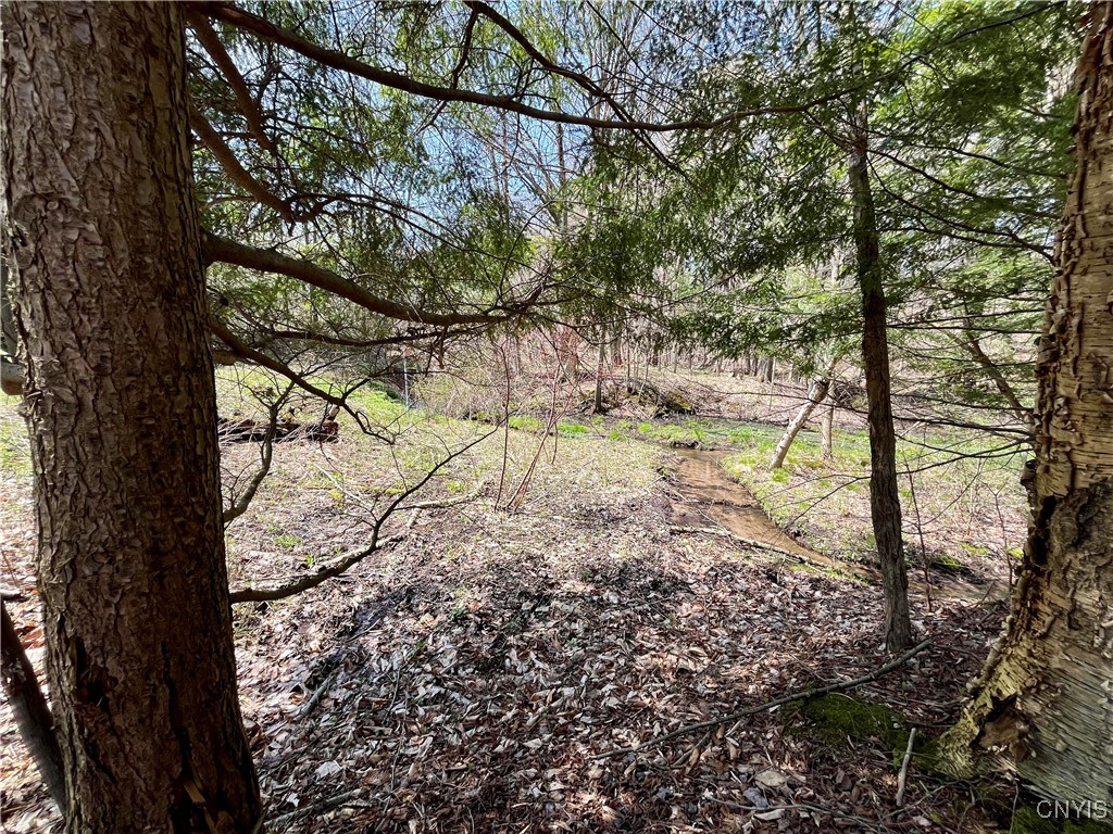 2011 Eno Road, Sterling, New York image 37