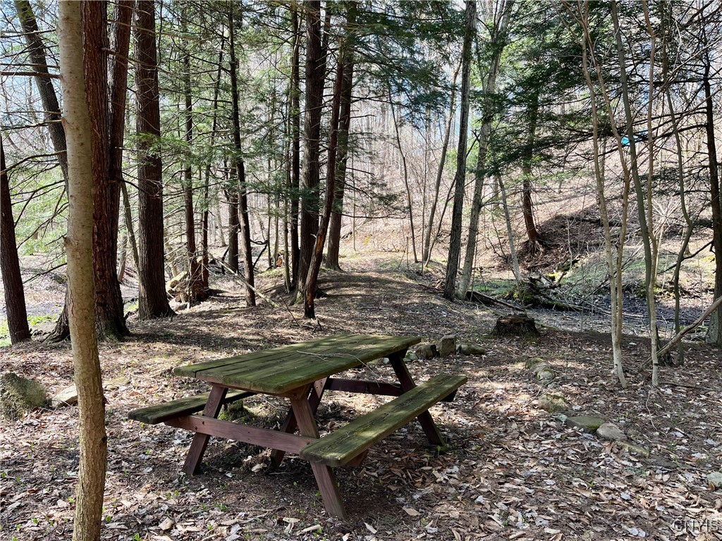 2011 Eno Road, Sterling, New York image 35