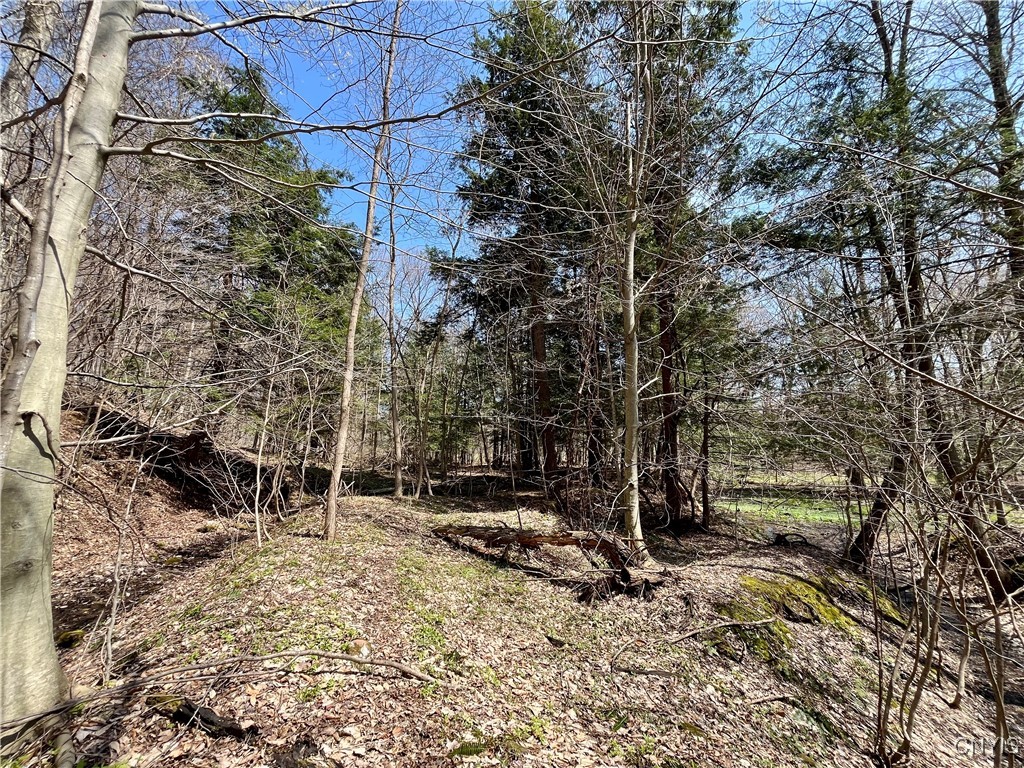 2011 Eno Road, Sterling, New York image 36