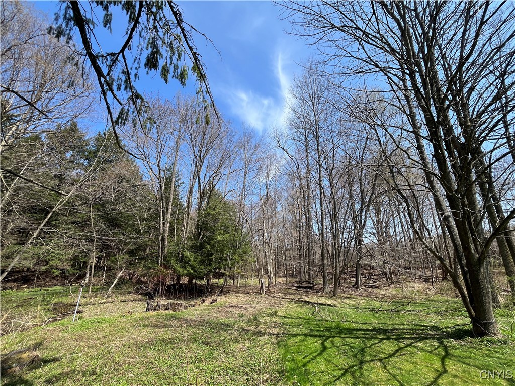2011 Eno Road, Sterling, New York image 45