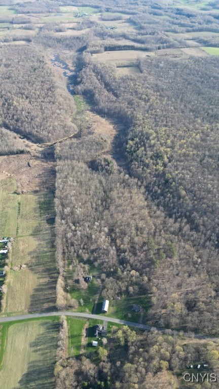 2011 Eno Road, Sterling, New York image 48