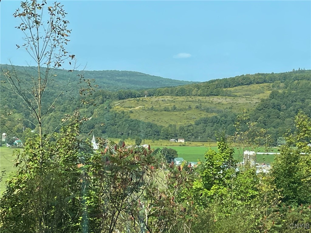 Oak Hill Road, Pitcher, New York image 15