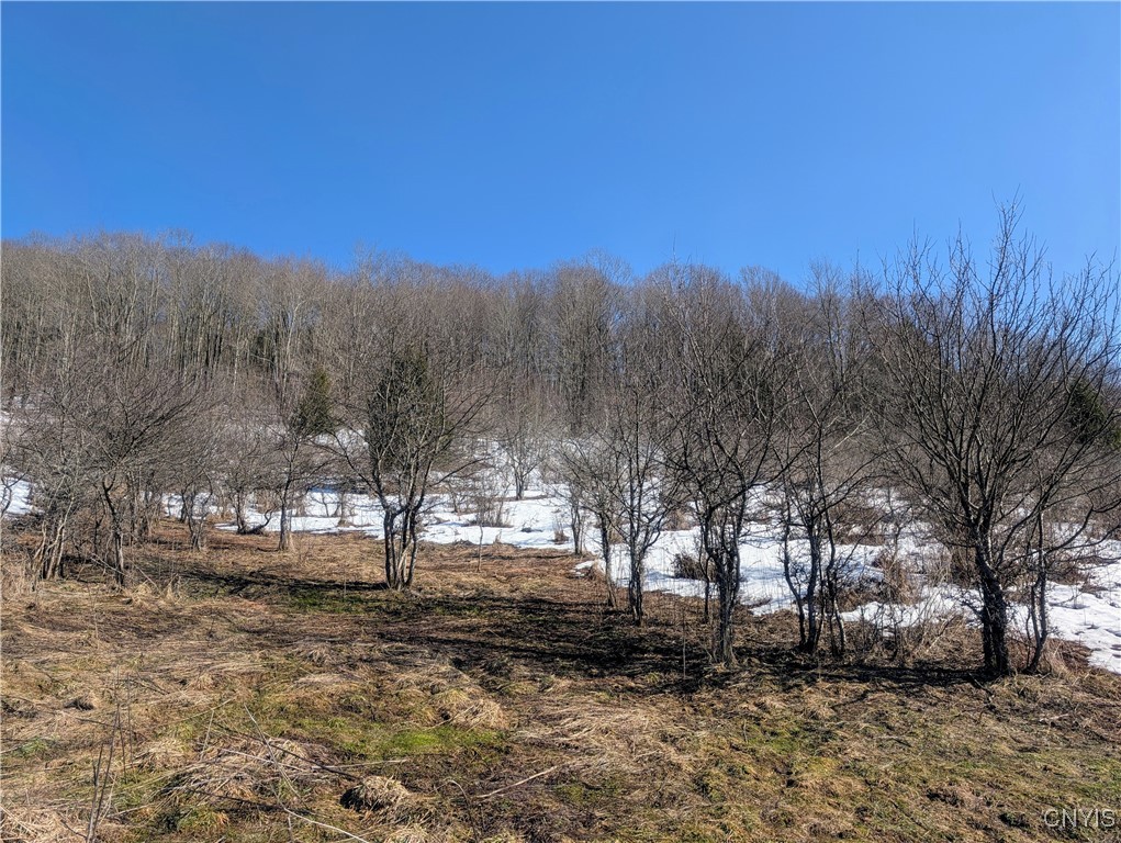 Oak Hill Road, Pitcher, New York image 7