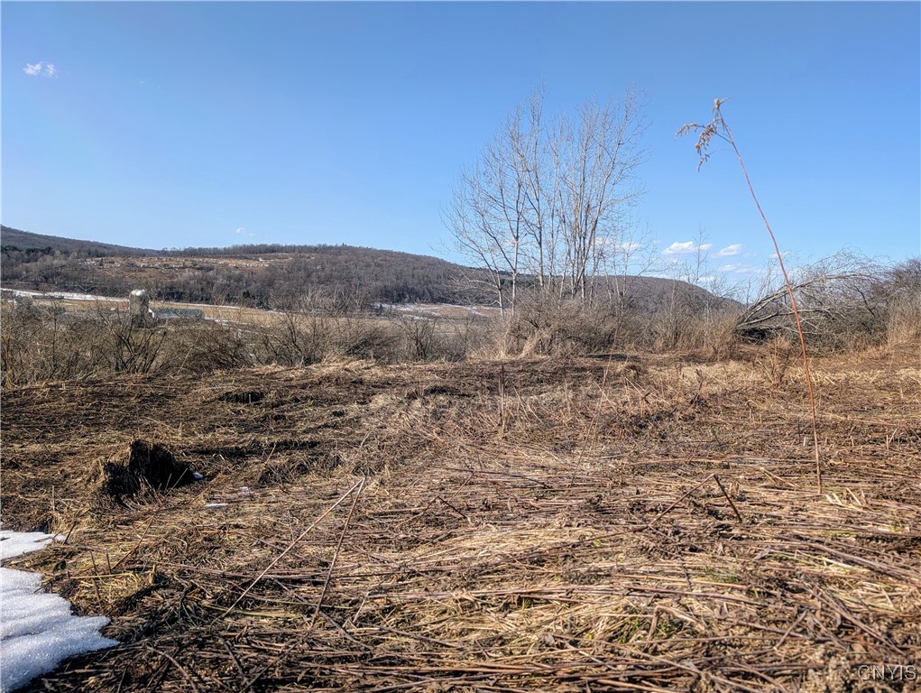 Oak Hill Road, Pitcher, New York image 5