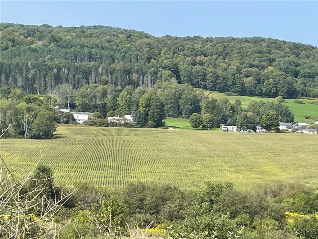 Oak Hill Road, Pitcher, New York image 14