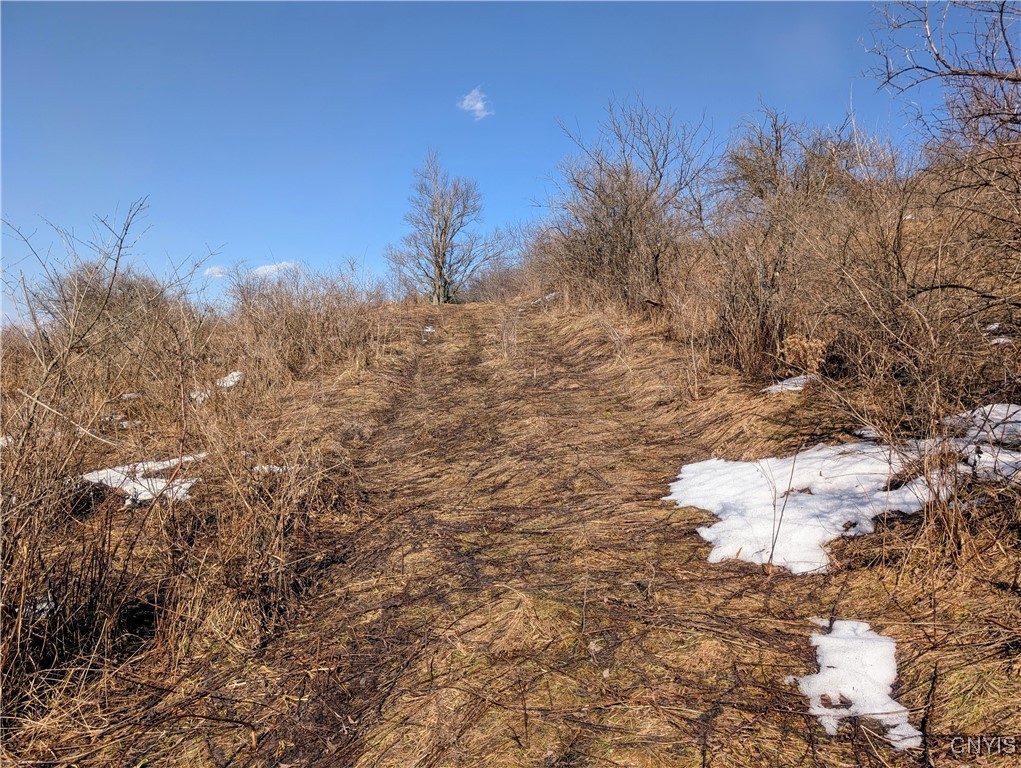 Oak Hill Road, Pitcher, New York image 8