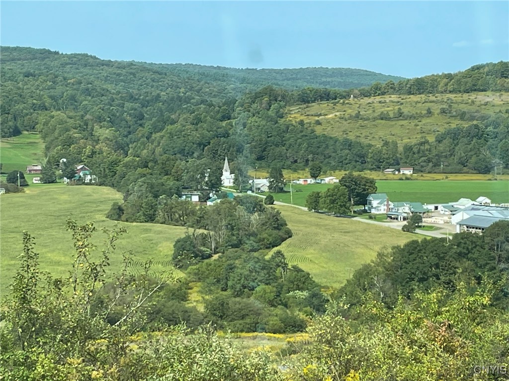 Oak Hill Road, Pitcher, New York image 16