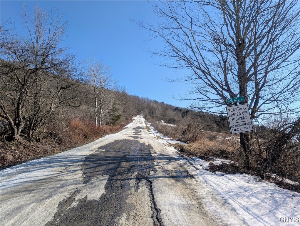 Oak Hill Road, Pitcher, New York image 9