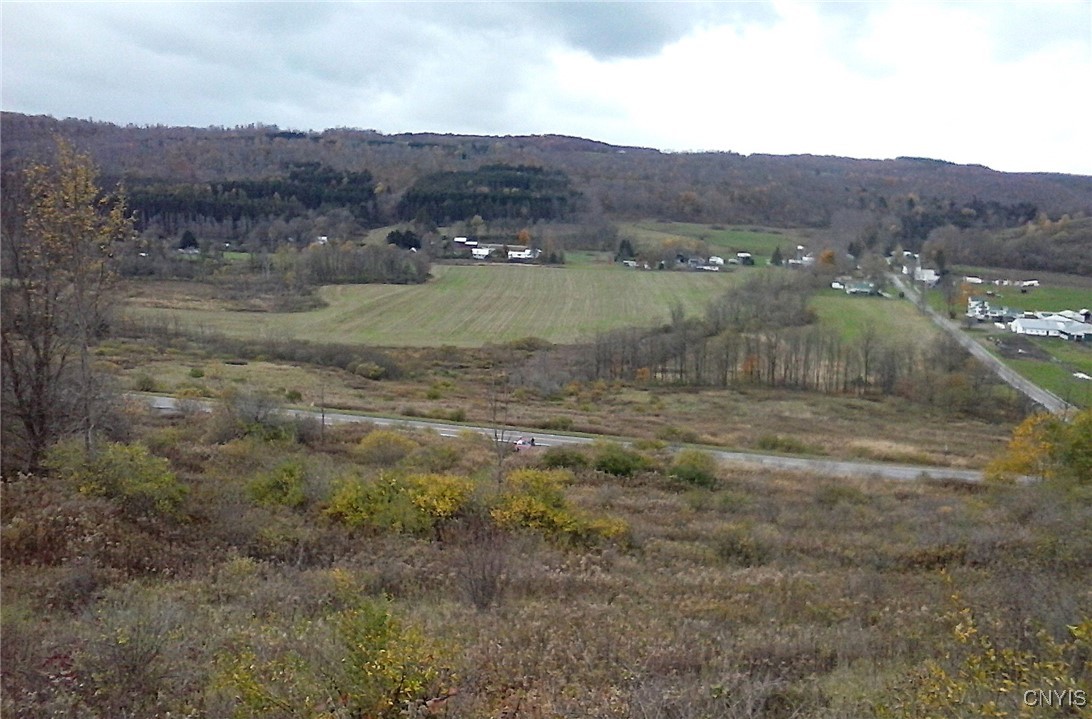Oak Hill Road, Pitcher, New York image 10