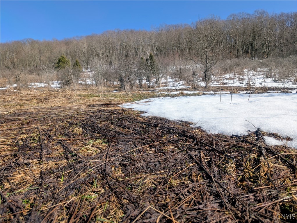 Oak Hill Road, Pitcher, New York image 6