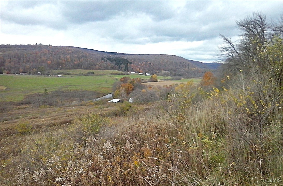 Oak Hill Road, Pitcher, New York image 11