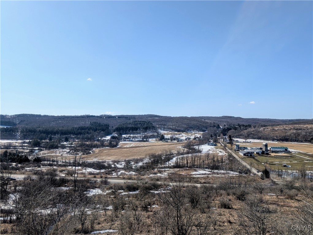 Oak Hill Road, Pitcher, New York image 4