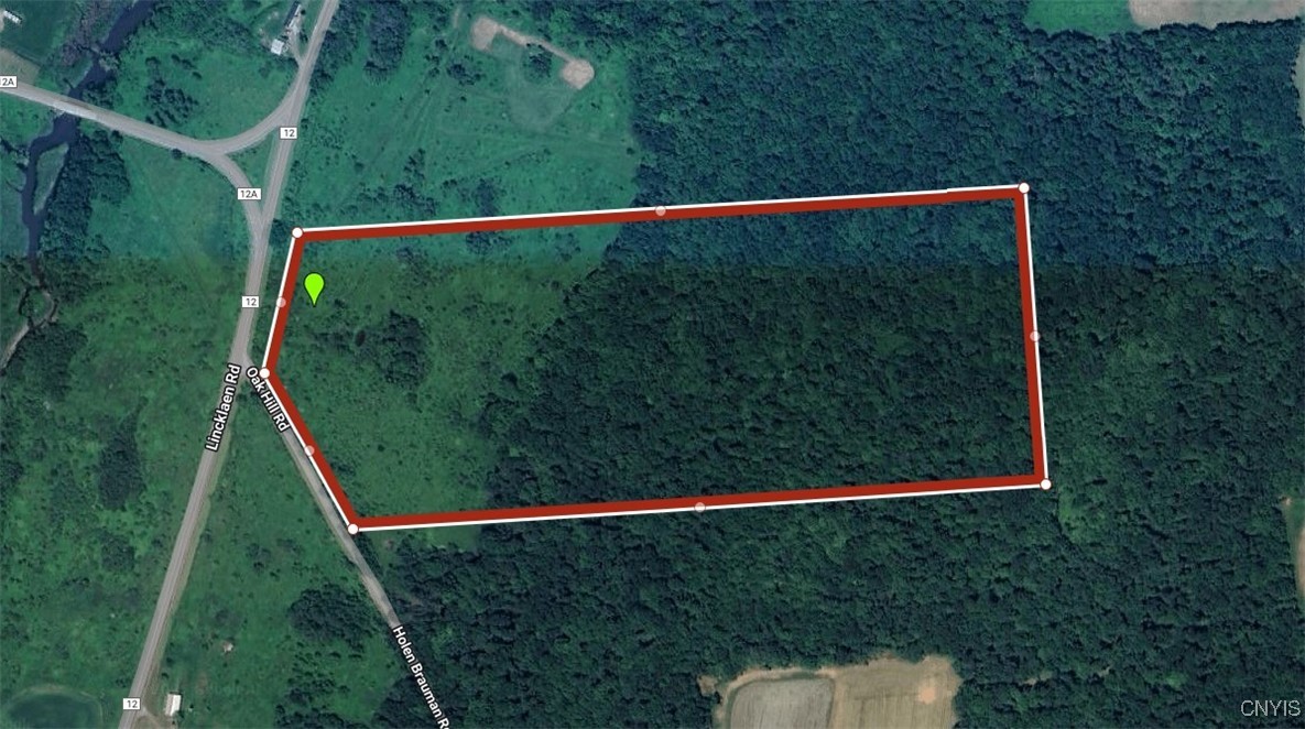 Oak Hill Road, Pitcher, New York image 2