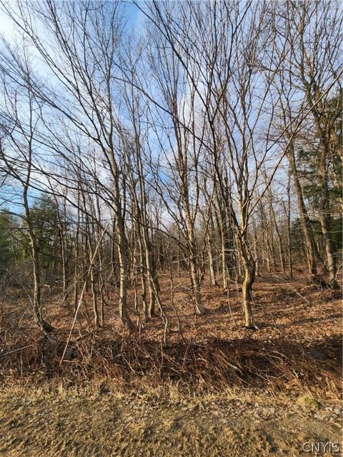 Vacant Land For Sale - 00 Jess Drive<br/> Oswego County, Redfield, NY 13437