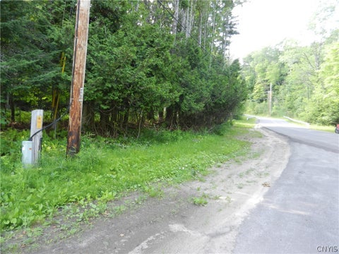 Vacant Land For Sale - 00 Bingham Mills Rd<br/> Salisbury, NY 13470