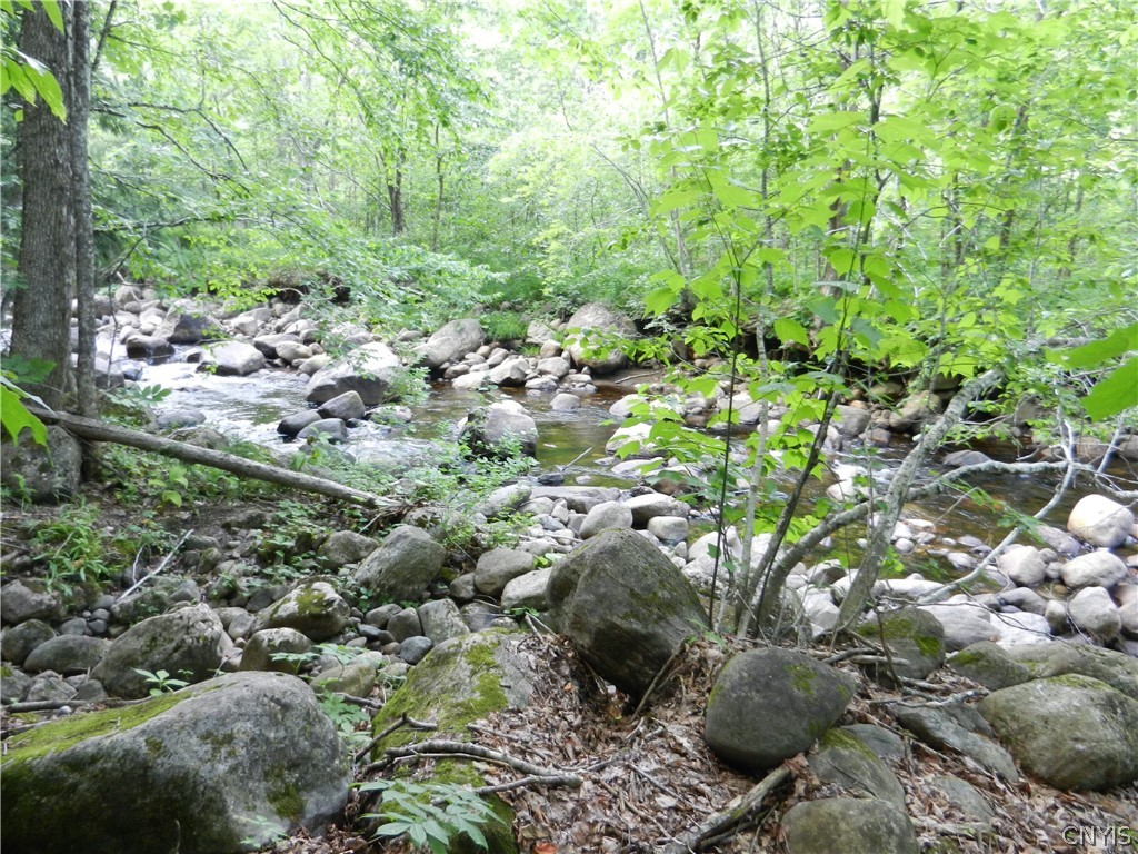 00 Bingham Mills Rd