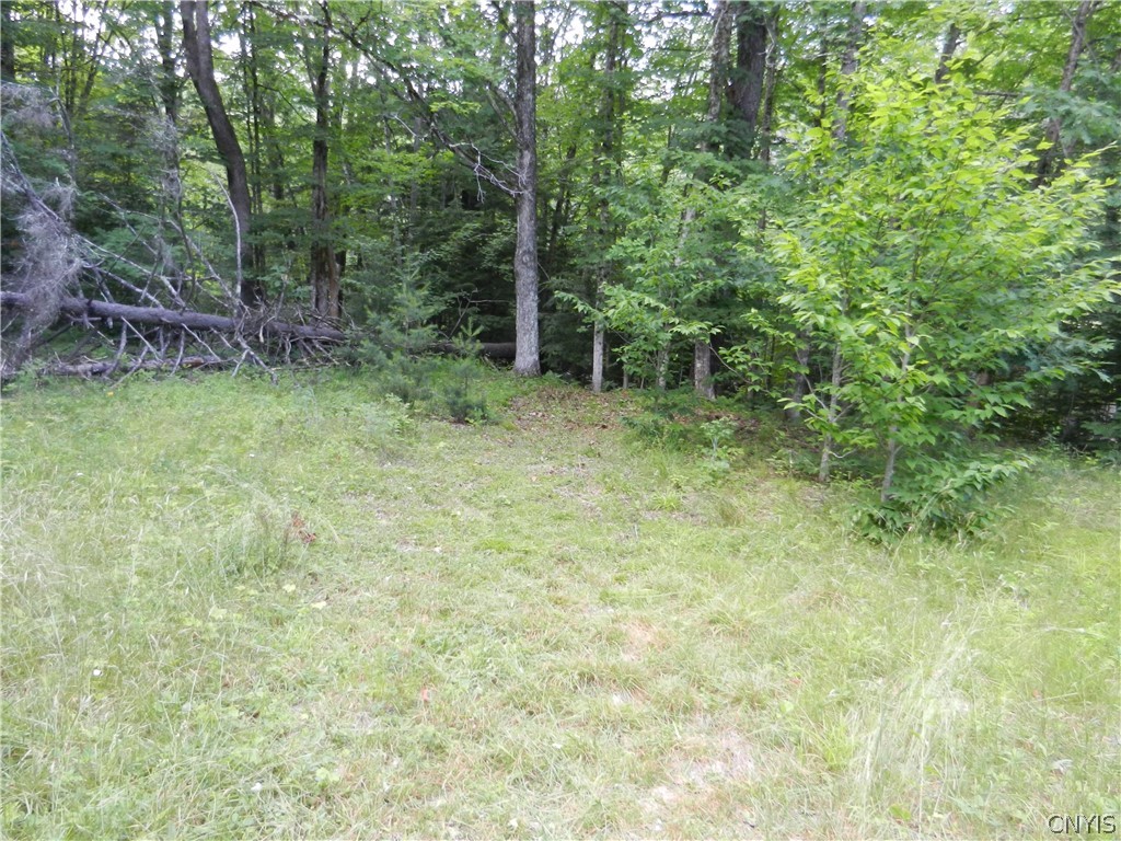 00 Bingham Mills Rd
