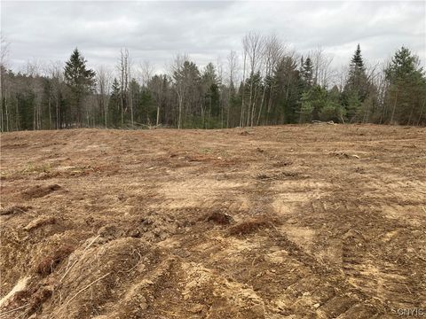 Vacant Land For Sale - Mackinaw & Beaver Int<br/> Remsen, NY 13438